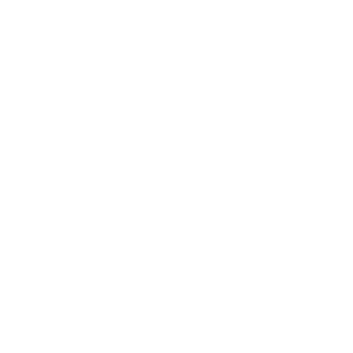 Big Shots Media